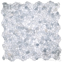 􂢏olbgP 08zCg~Xg MTCY RӔg^ Pi300mmp×11A\j {ʐ