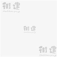 SKZNgJ[ NUANCE COLORijAXJ[j150g^܁@RSK-00NG@l