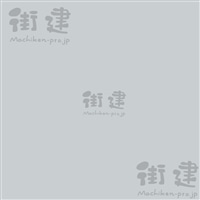 SKZNgJ[ NUANCE COLORijAXJ[j150g^܁@RSK-02CG@l