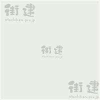 SKZNgJ[ NUANCE COLORijAXJ[j150g^܁@RSK-01YG@l