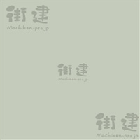 SKZNgJ[ NUANCE COLORijAXJ[j150g^܁@RSK-02YG@l