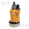 水中過流ポンプ　US-253B　片水路タイプ　三相200V