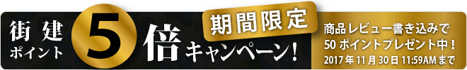 レビュー書込みポイント5倍キャンペーン